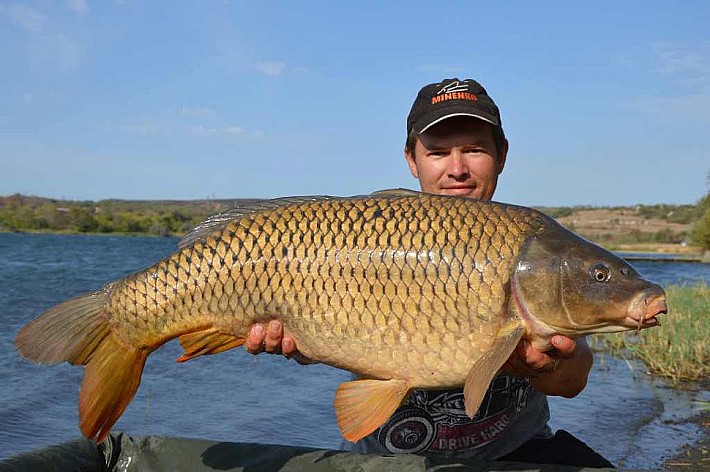 Карпфишинг037