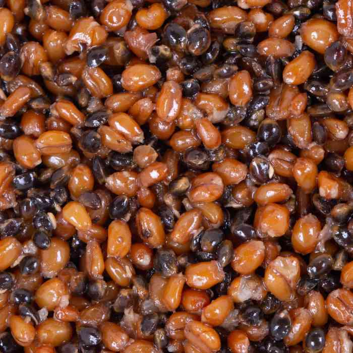 Зерновая смесь MINENKO Hemp & Wheat (4кг)