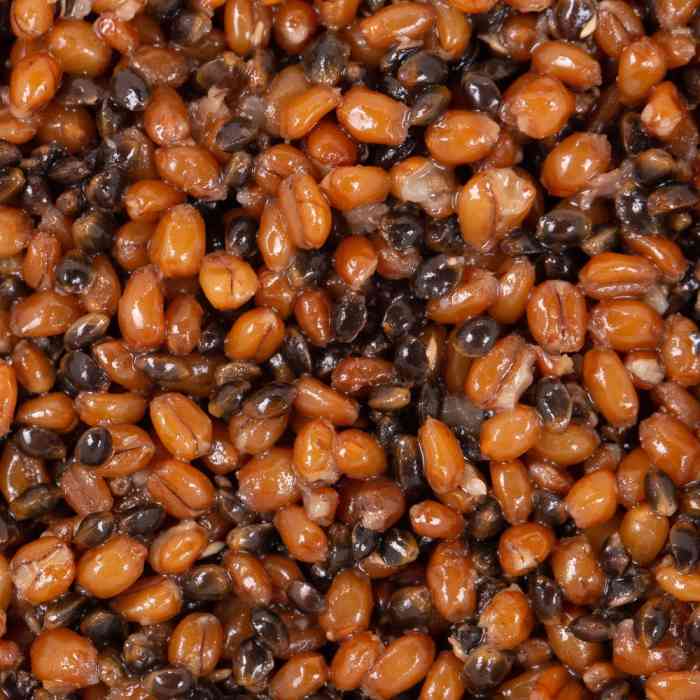 Зерновая смесь MINENKO Hemp & Wheat (1кг)