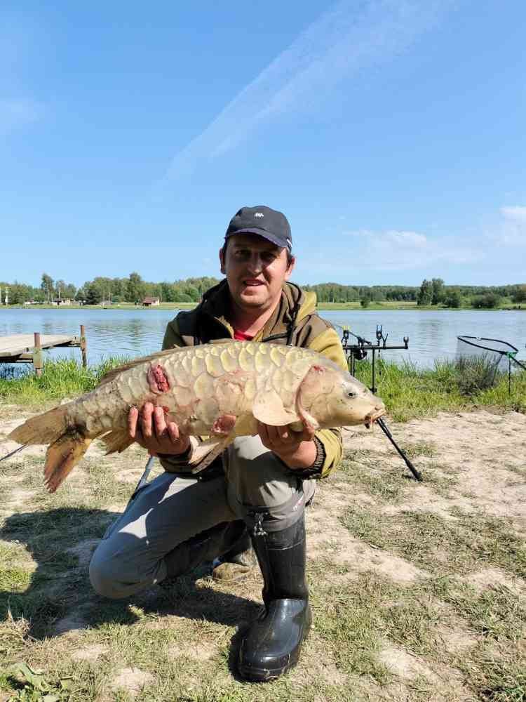 Активатор клева MINENKO Liquid Booster Big Fish (125 мл) купить в ...
