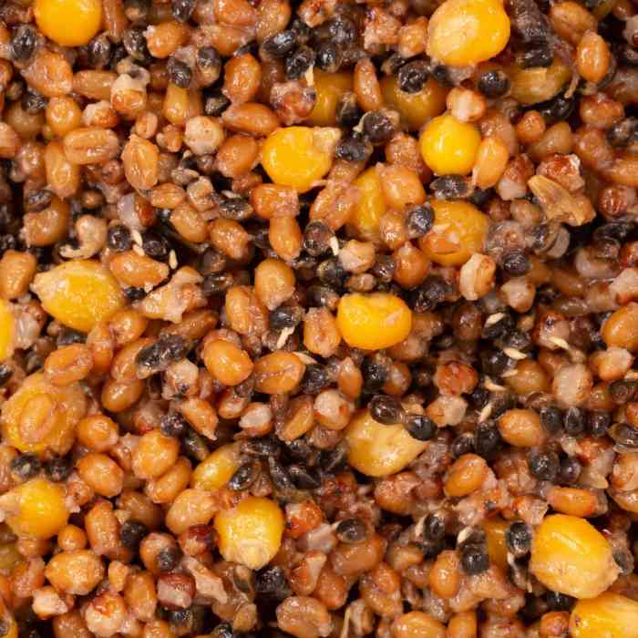 Зерновая смесь MINENKO Spod Mix Tutti-frutti (4кг)