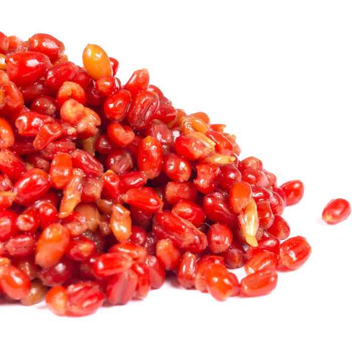 Зерновая смесь MINENKO Red Strawberry Wheat (4кг)