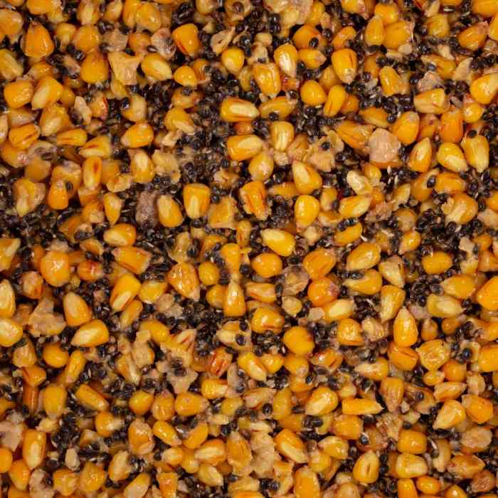 Зерновая смесь MINENKO Mix №1 Coconut (4кг)