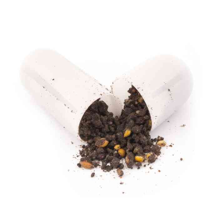 Прикормка MINENKO CARP Garlic (3кг)